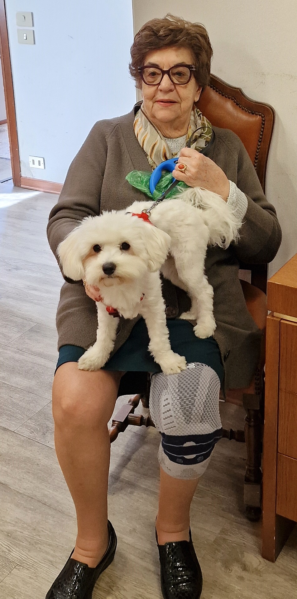 Custode Mostra con cane da guardia